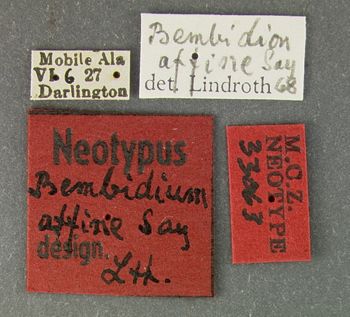 Media type: image;   Entomology 33063 Aspect: labels